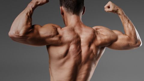 The Most Effective Way Of Increasing Muscle Mass
